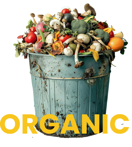 Organic waste