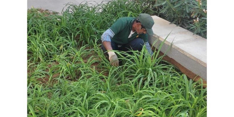 Gardening